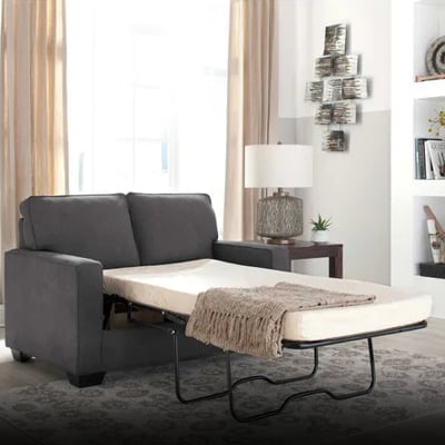 Picture for category Sleeper sofas & futons