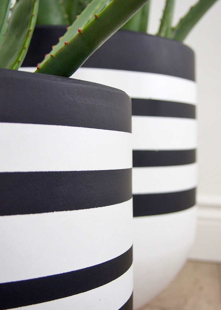 Image sur Pot Stripe 12 po