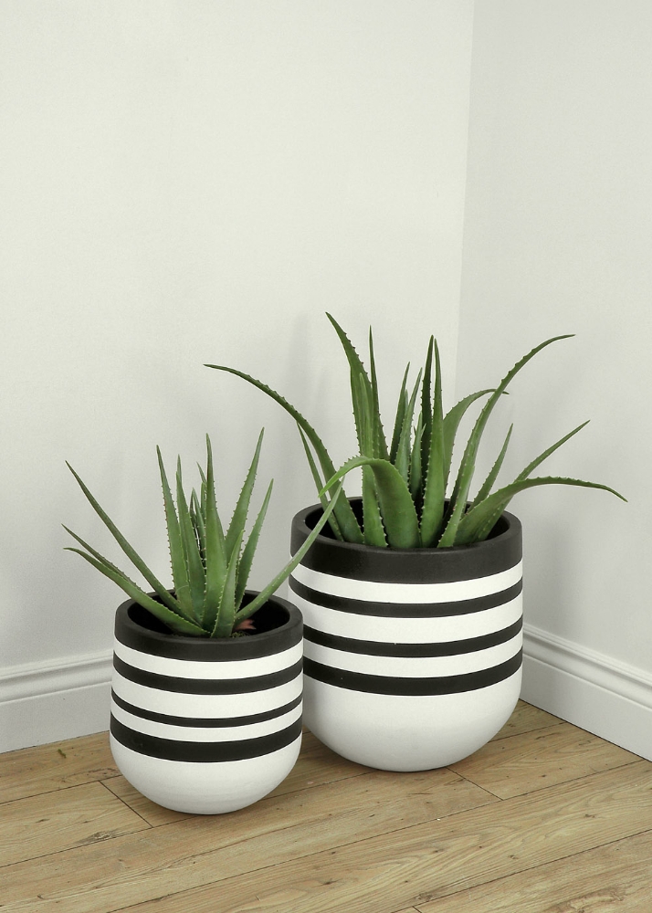 Image sur Pot Stripe 12 po