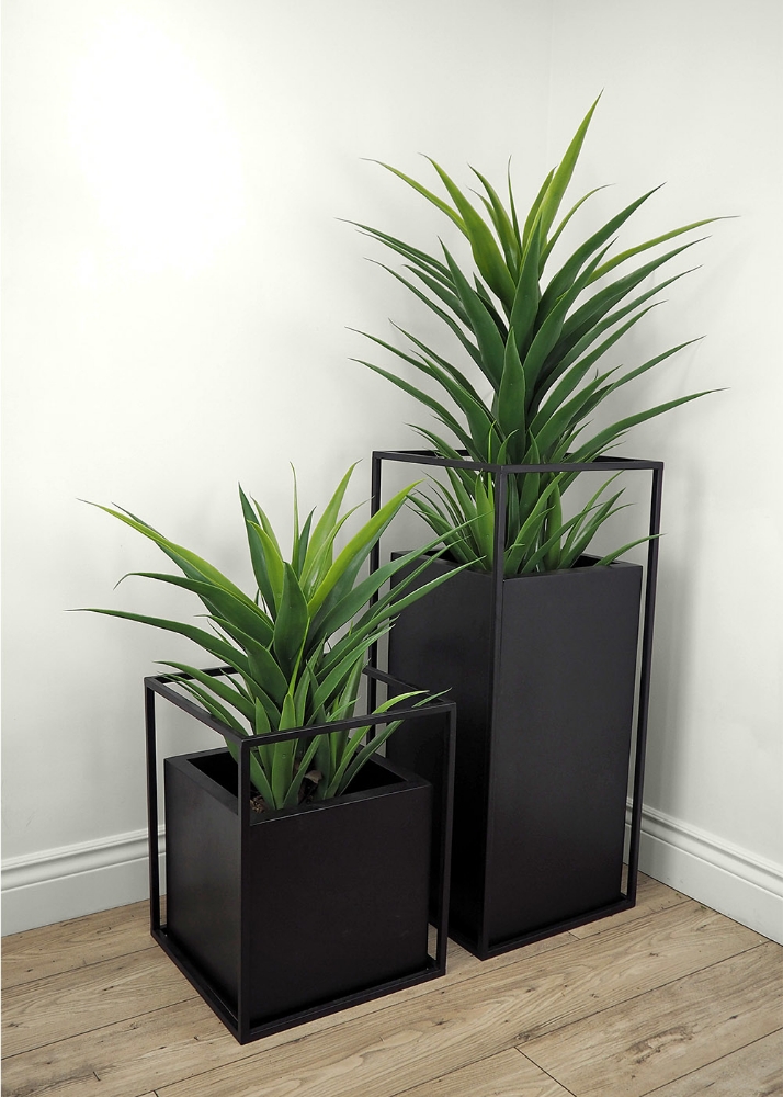 Image sur Yucca 44 po