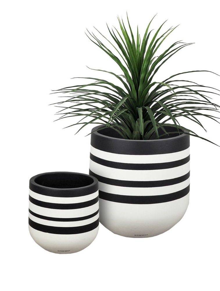 Image sur Pot Stripe 12 po