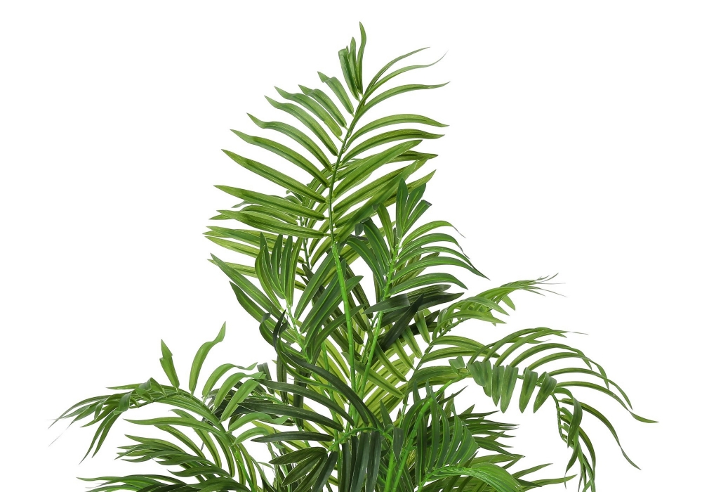 Image sur Palmier Areca 47 po
