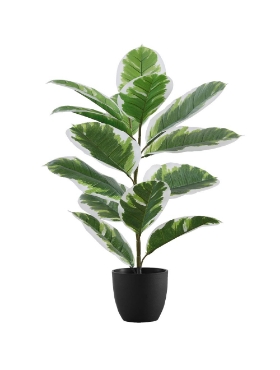 Picture of 27 Inch Artificial Rubber Plant
