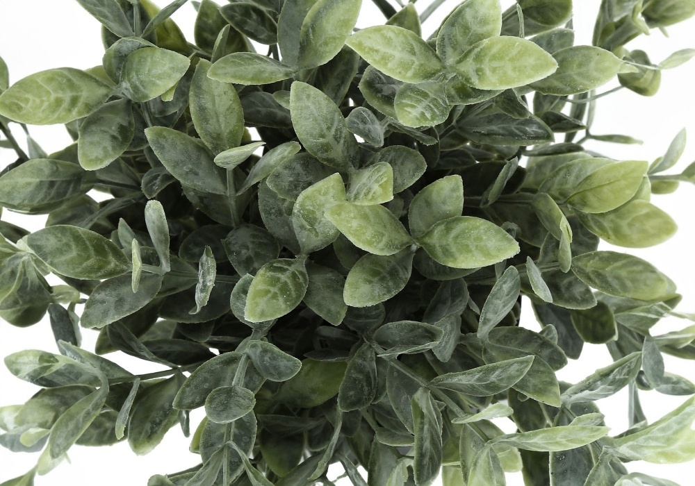 Image sur Ensemble de plantes artificielles 11 po