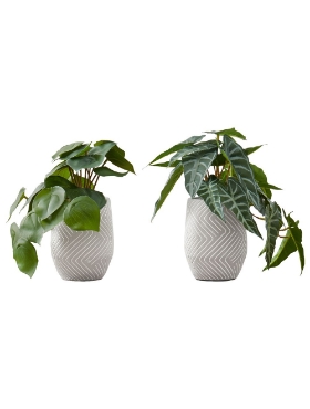 Picture of 8 Inch Set of 2 Artificial Plants