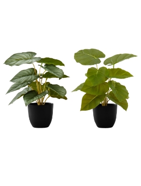 Picture of 13 Inch Set of 2 Artificial Plants