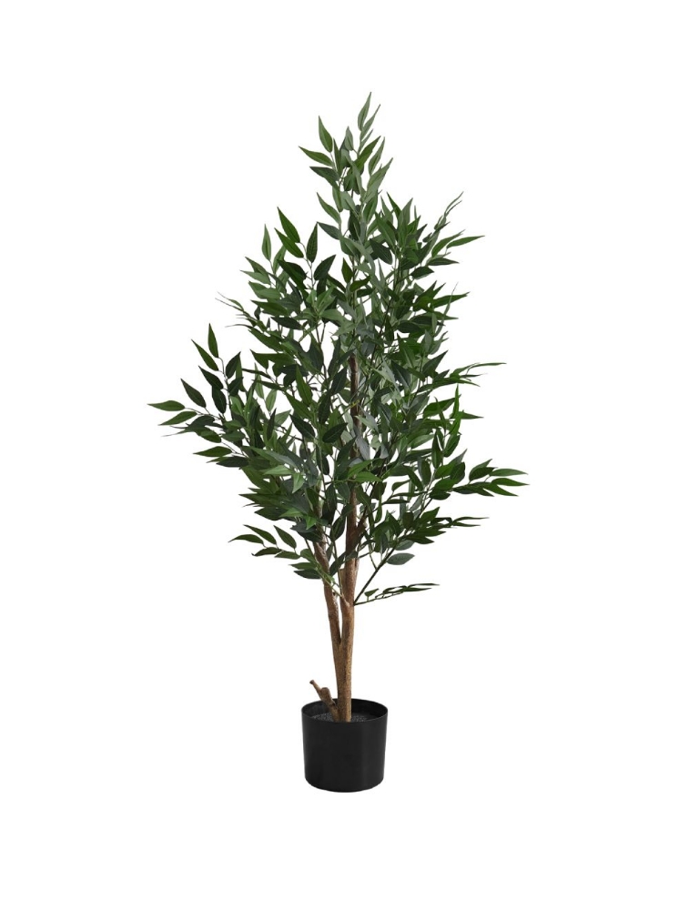 Image sur Acacia 47 po