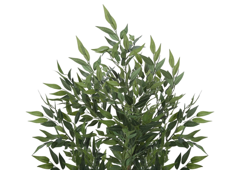 Image sur Acacia 47 po