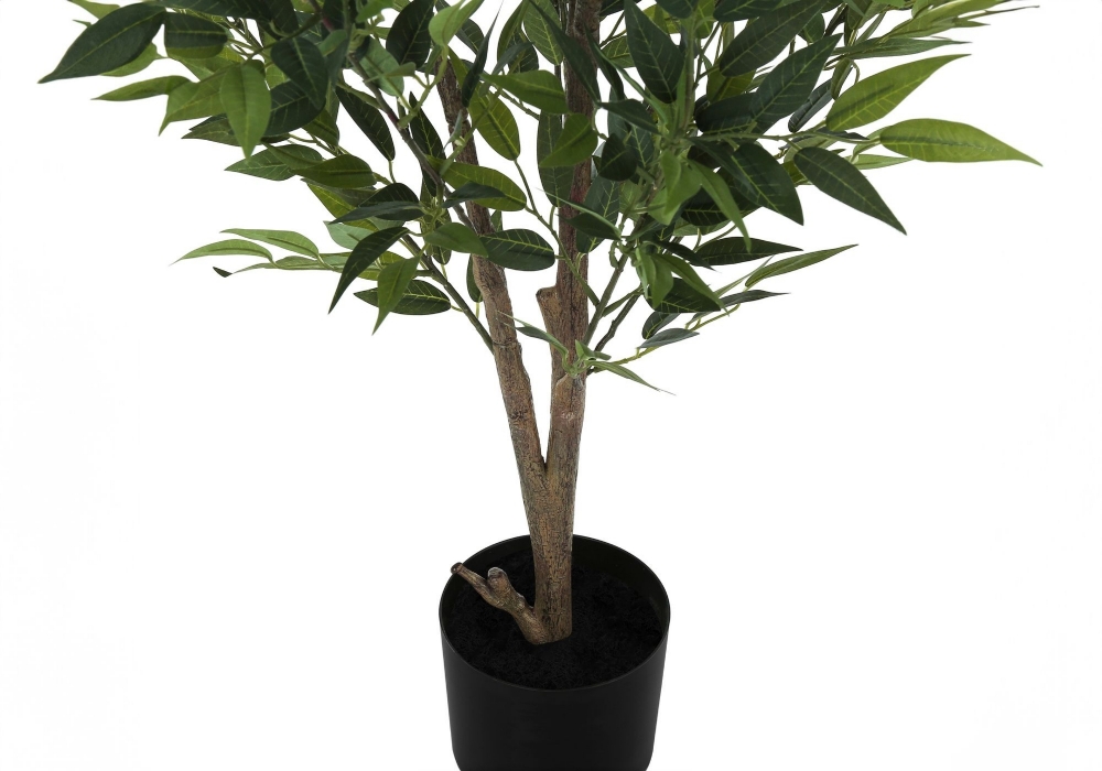 Image sur Acacia 47 po